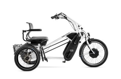 Aangepaste E-Fietsen