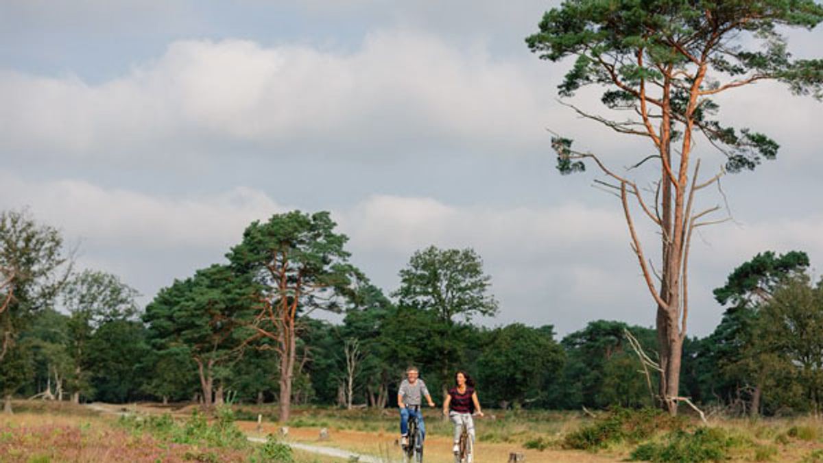 De leukste fietsroutes van Drenthe