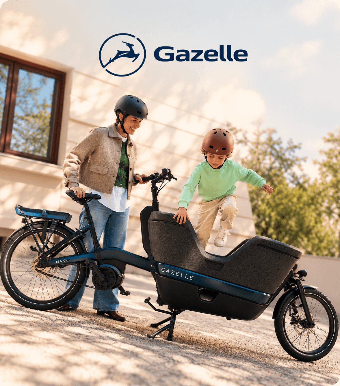 gazelle